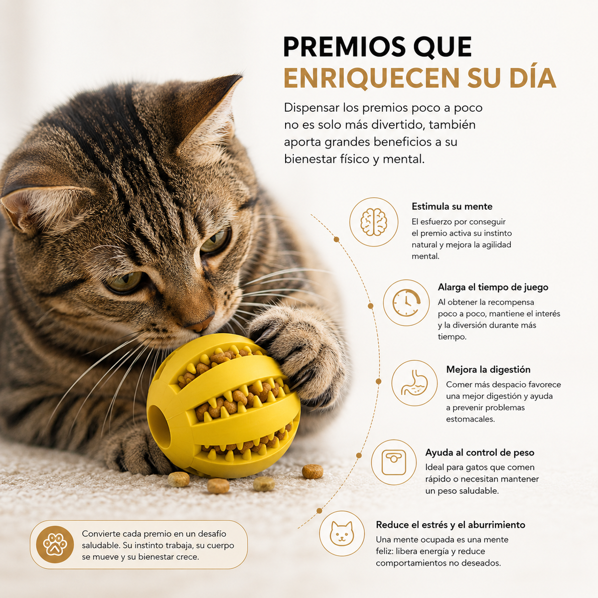Bola de Premios Cazador Gattora — Dispensador de Snacks para Gatos